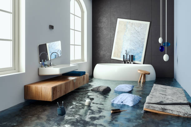 Best Basement water damage restoration  in Orange, VA