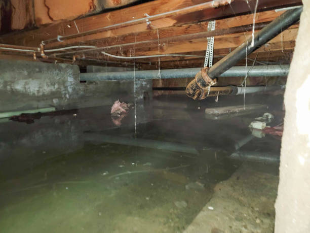 Best Water damage restoration company  in Orange, VA