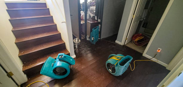 Best Water damage cleanup near me  in Orange, VA