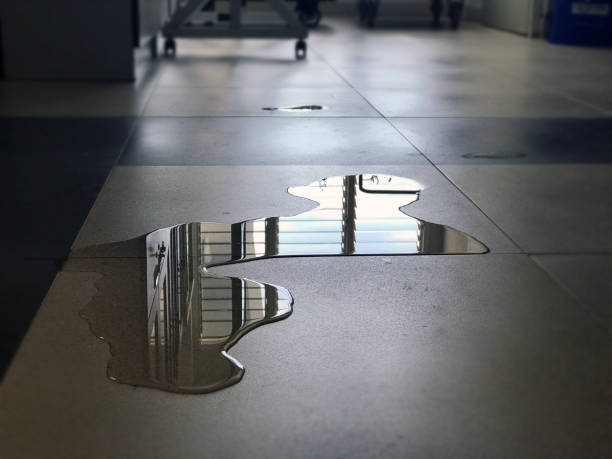 Best Water damage restoration process  in Orange, VA