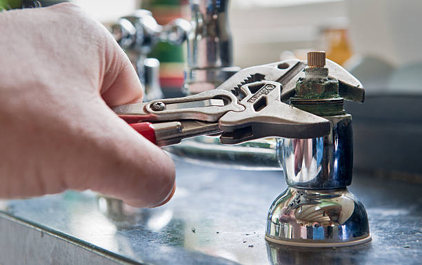 Best Flooded house restoration  in Orange, VA