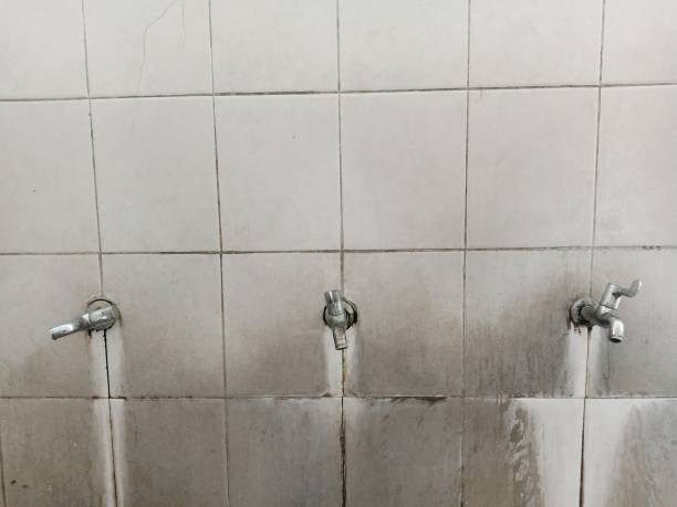 Best 24/7 water damage repair  in Orange, VA