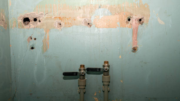 Best Water damage restoration near me  in Orange, VA