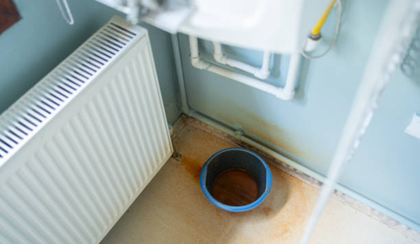 Best Mold removal after water damage  in Orange, VA