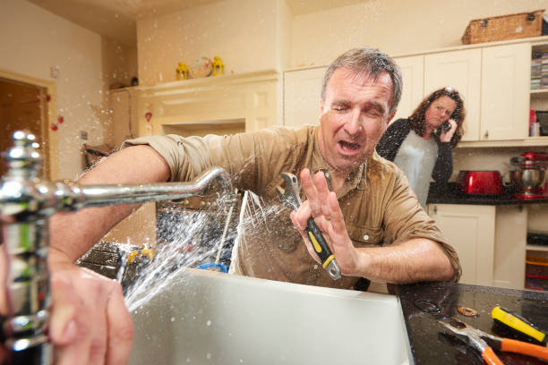 Best Water damage cleanup near me  in Orange, VA